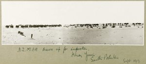 N.Z.M.F.A. opgesteld voor inspectie, Khan Yunis, september 1917